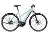 Riese & Müller Roadster Mixte Vario, 53cm, salvia matt