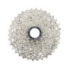 Shimano Kassette 12-fach, CS-R7101-12 105, 11-34